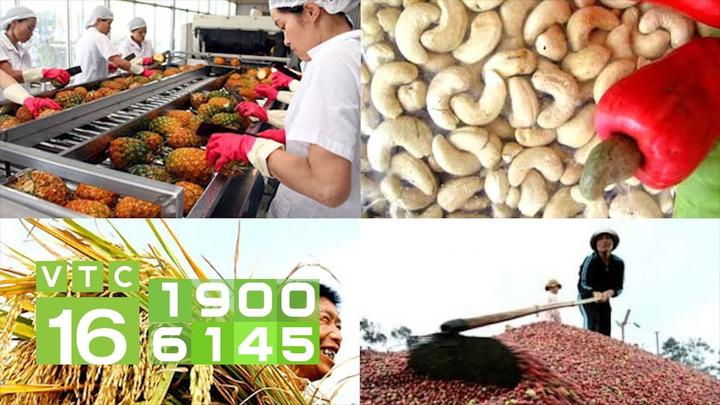 Chuyên gia Hotspot Matrix phân tích: Phương Oanh diện set đồ 50 và marketing video
