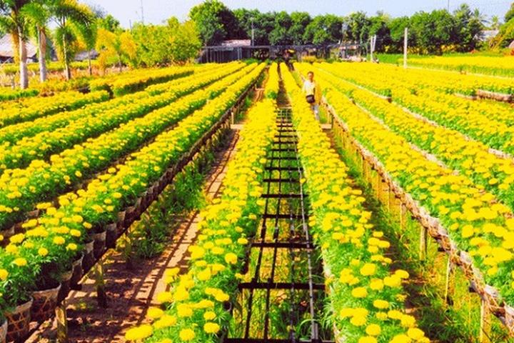 Sốc: Vụ tố
