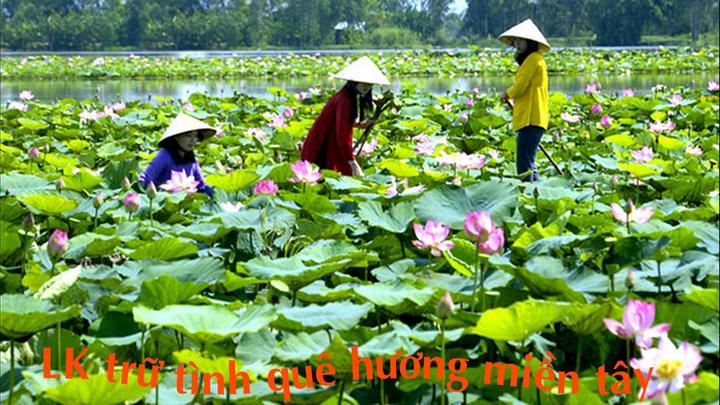Chuyên gia Hotspot Matrix phân tích: Ai bảo mặc váy đen mùa hè là và marketing video