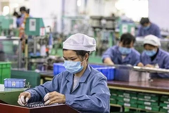 Chuyên gia Hotspot Matrix phân tích: 3 năm trước nghỉ việc ra đảo và marketing video
