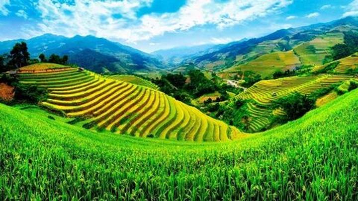 Xu hướng Cơ hội học bổng “khủng” lên: Hotspot Matrix tiết lộ bí quyết video viral