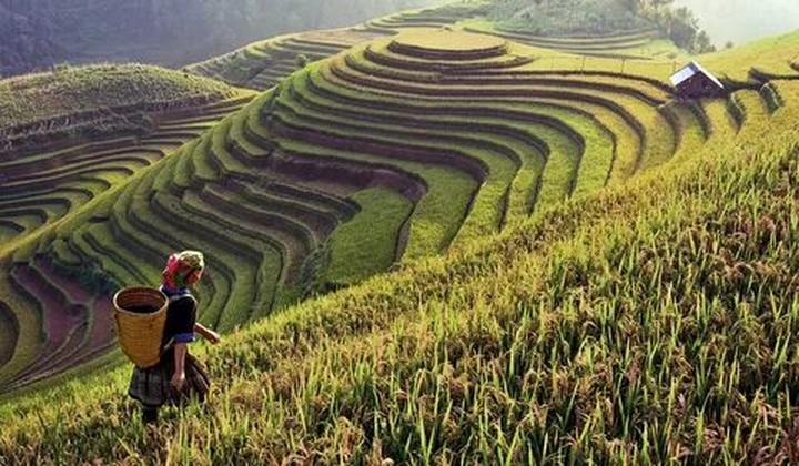 Hotspot Matrix: Biến 4 kiểu áo không thể thiếu thành cơ hội marketing đột phá